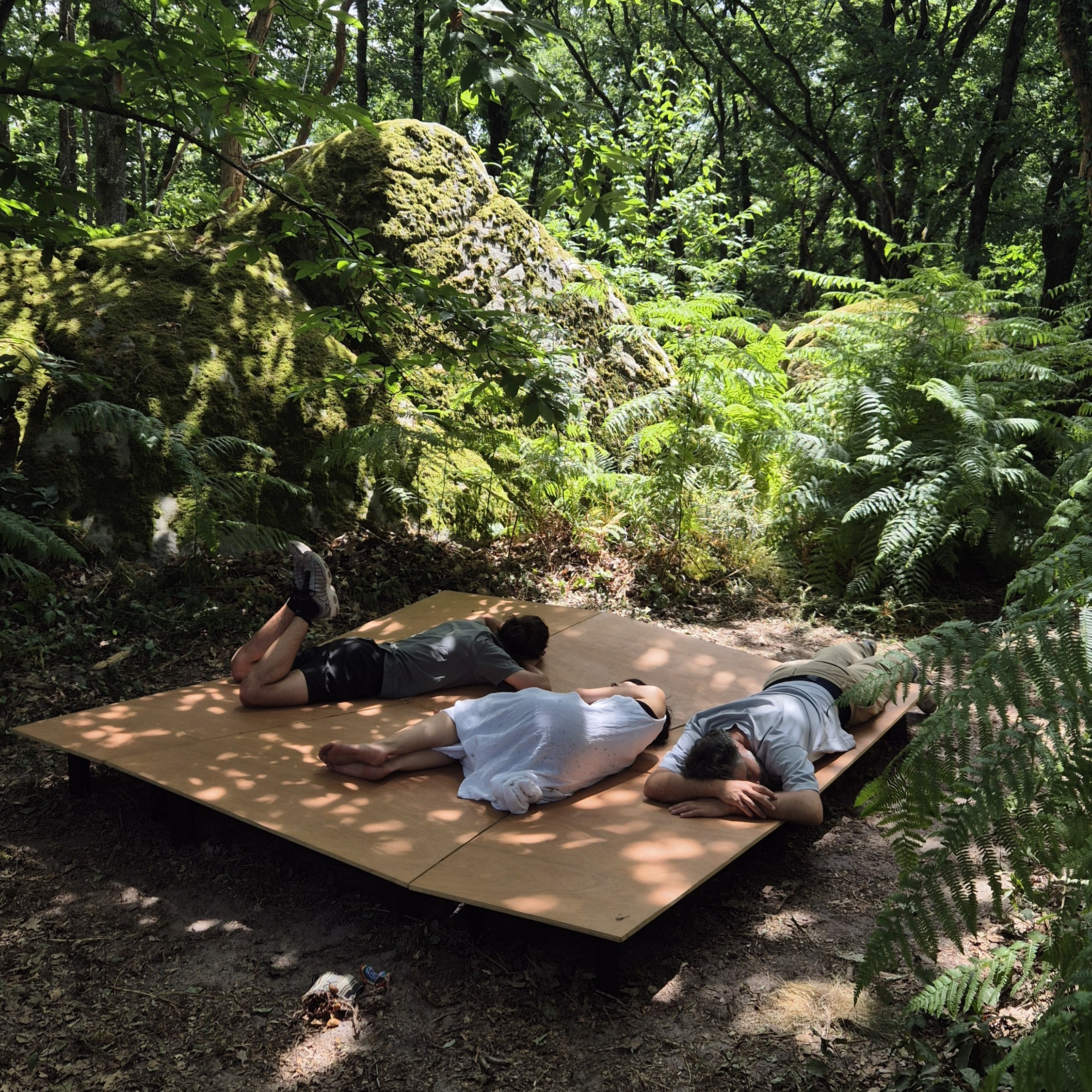 Expérience d'écoute en forêt — Nuit des Forêts