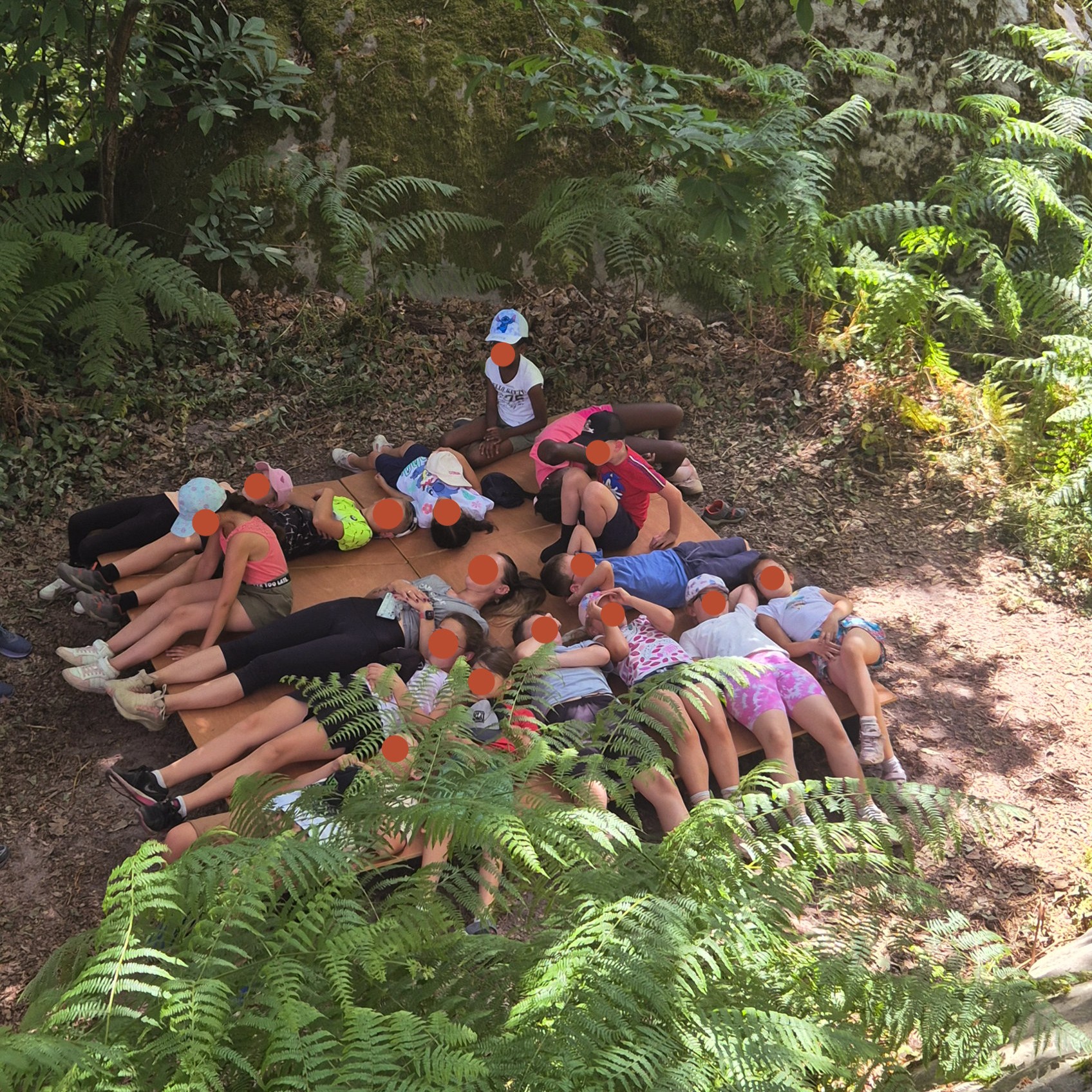 Médiation avec les enfants — Nuit des Forêts